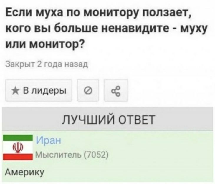Если муха по монитору ползает кого вы больше ненавидите муху ипи монитор За 2 да ал В лидеры Ё лучший ответ _ иран Мыслитель 7052 Америку