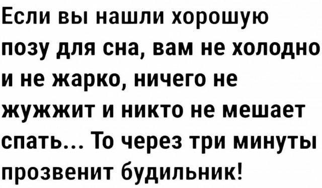 Если вы нашли хорошую позу для сна вам не холодно и не жарко ничего не жужжит и никто не мешает спать То через три минуты прозвенит будильник