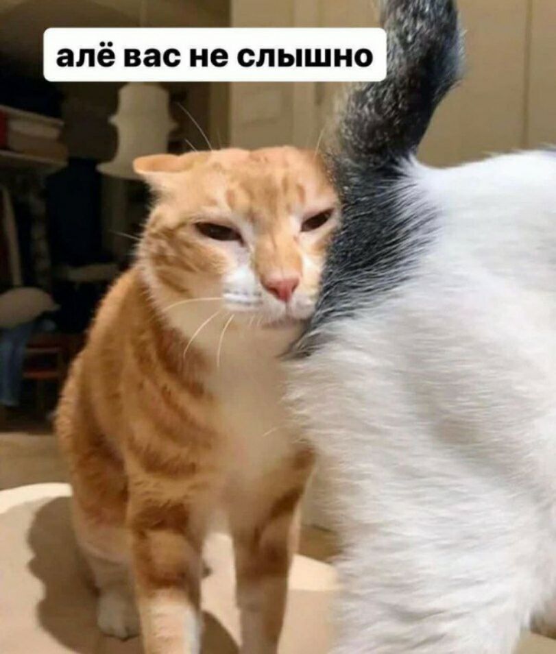 алё вас не слышно