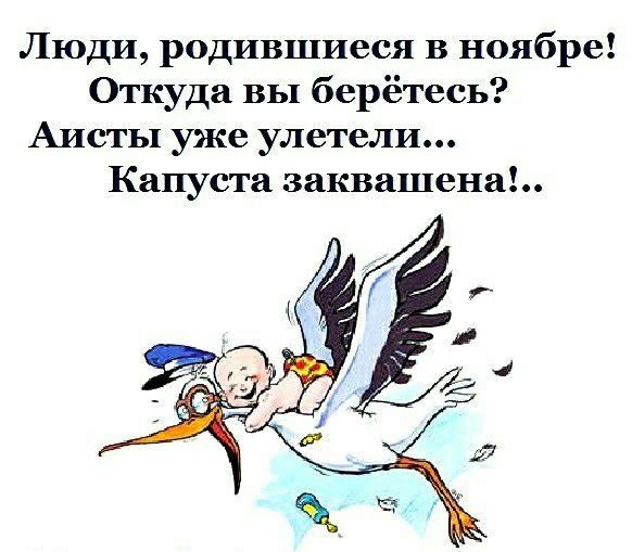 Люди родившиеся в ноябре Откуда вы берётесь Аисты уже улетели Капуста заквашена