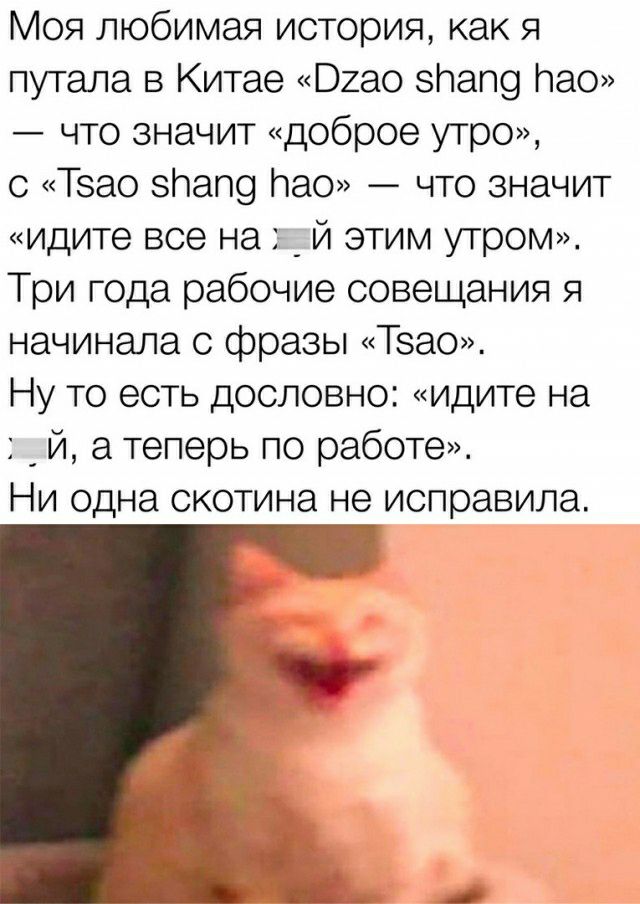 Моя любимая история как я путала в Китае Шао Пап9 пас что значит доброе утро с Тзао Пап9 Пао что значит идите все на _ й этим утром Три года рабочие совещания я начинала с фразы Тзао Ну то есть дословно идите на _ 171 а теперь по работе Ни одна скотина не исправила