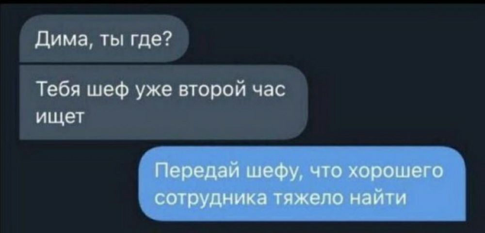 дима ты где Тебя швф уже второй час ИЩЕТ