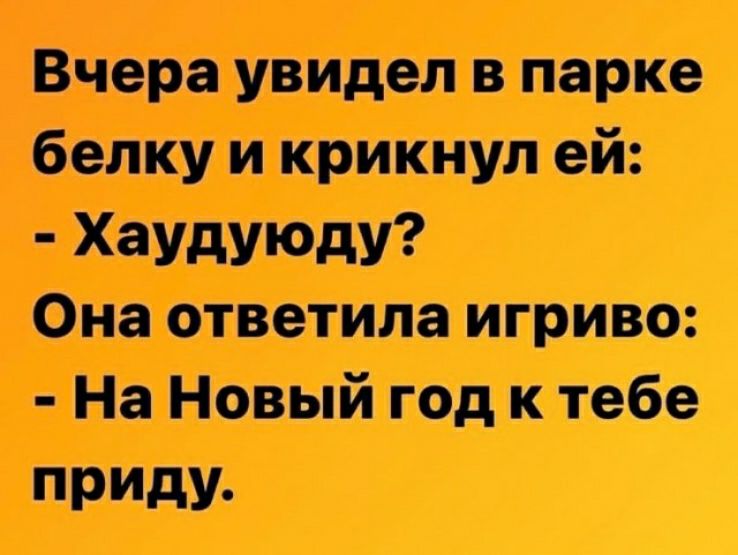 Вчера увидел в парке белку и крикнул ей Она ответила игриво На Новый год к тебе