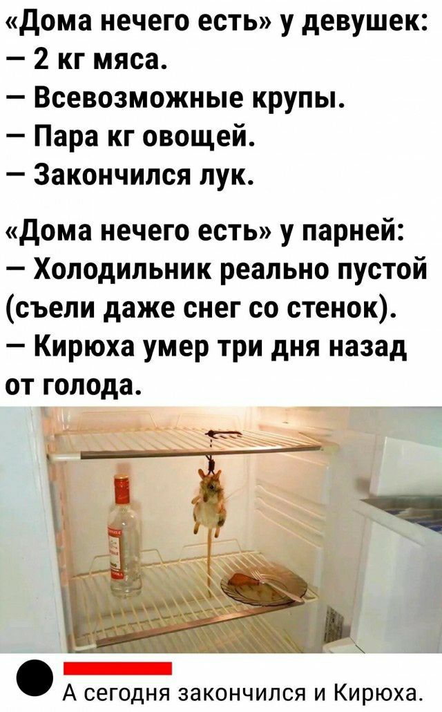 дома нечего есть у девушек 2 кг мяса Всевозможные крупы Пара кг овощей Закончился лук дома нечего есть у парней Холодильник реально пустой съели даже снег со стенок Кирюха умер три дня назад от голода _ А сегодня закончился и Кирюха