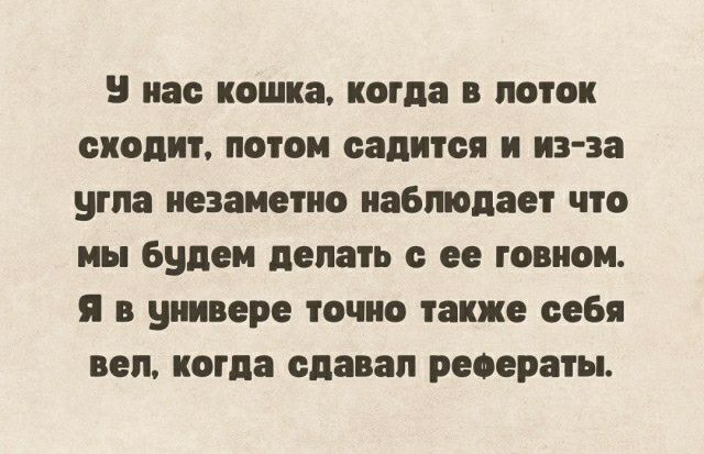 нас кошка когда в поток сходит потом садится н нз за угла незаметно наыидает что им Будем делать с ее говном я в универе точно также себя деп когда ода ап реоераты