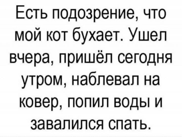 Есть подозрение что мой кот бухает Ушеп вчера пришёл сегодня утром набпевап на ковер попил воды и завалился спать