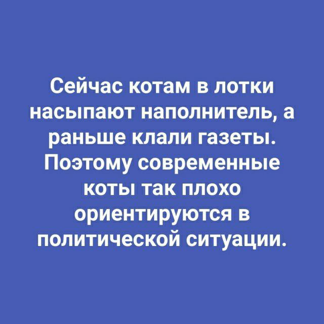 Сейчас котам в лотки насыпают наполнитель а раньше клали газеты Поэтому современные коты так плохо ориентируются в политической ситуации