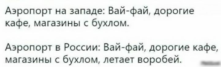 Аэропорт на западе Вай фай дорогие кафе магазины с бухлом Аэропорт в России Вайфай дорогие кафе магазины с бухлом летает воробей __