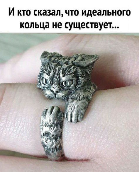 И КТО сказалчто идеального КОЛЬЦЗ не СУЩЕСТВУЕТ у