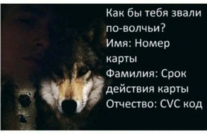 Как бы Тебя звали поволчьи Имя Номер карты Фамилия Срок действия карты Отчество СС код