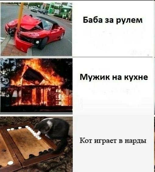 Баба за рулем Мужик на кухне Кот играет в нарды