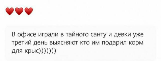 В офисе играли в тайного санту И плевки уже третий день выясняют кто им подарил корм для КРЫС