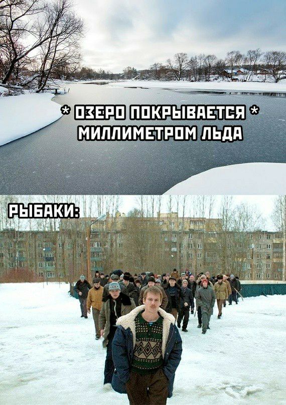 ппкпынявтся мимиддтппм пьдп