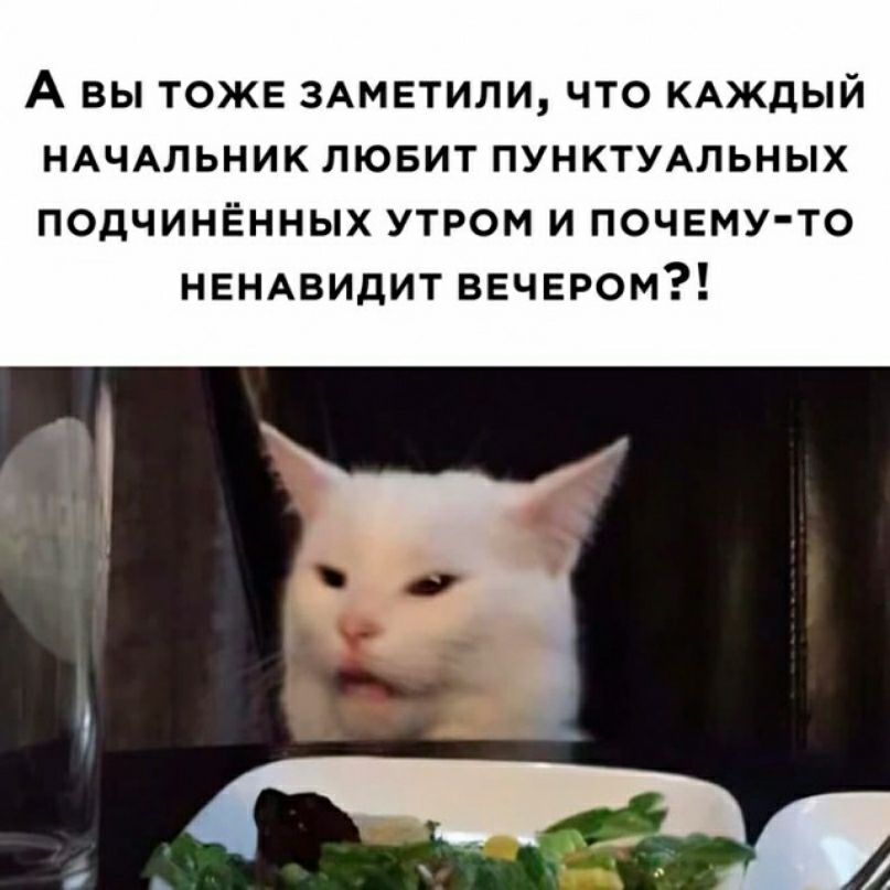 А ВЫ ТОЖЕ ЗАМЕТИЛИ ЧТО КАЖДЫЙ НАЧАЛЬНИК ЛЮБИТ ПУНКТУАЛЬНЫХ ПОДЧИНЁННЫХ УТРОМ И ПОЧЕМУ ТО НЕНАВИДИТ ВЕЧЕРОМ