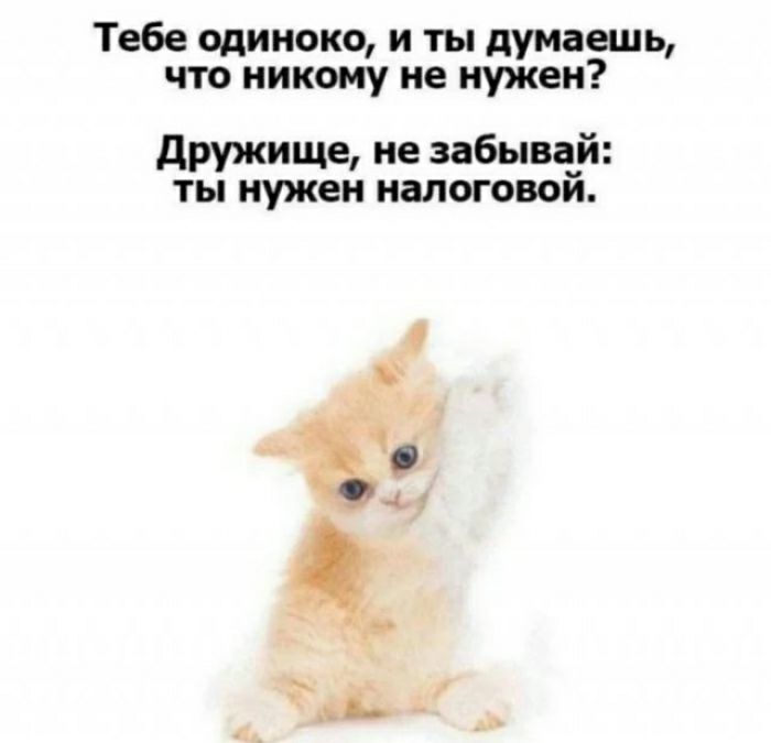 Тебе минска и ты думаешь что никому не нужен дружище не забывай ты нужен налоговой