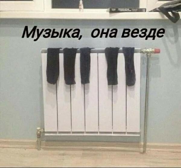 зЫка она ввёл
