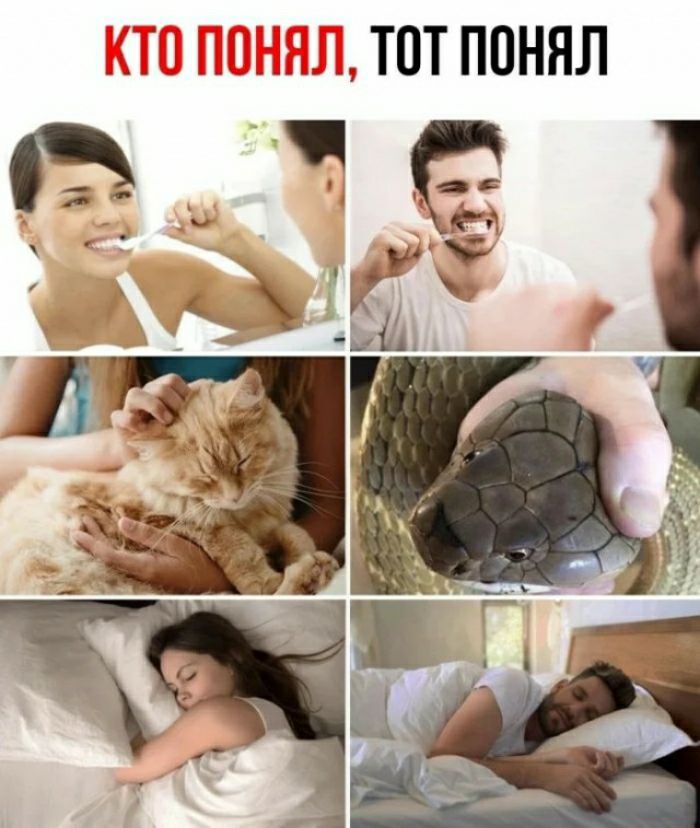 ТОТ ППННЛ
