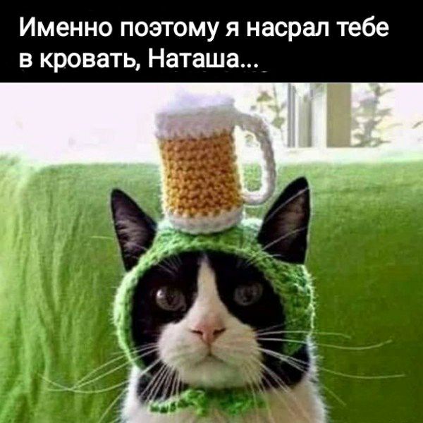 Именно поэтому я насрал тебе в кровать Наташа