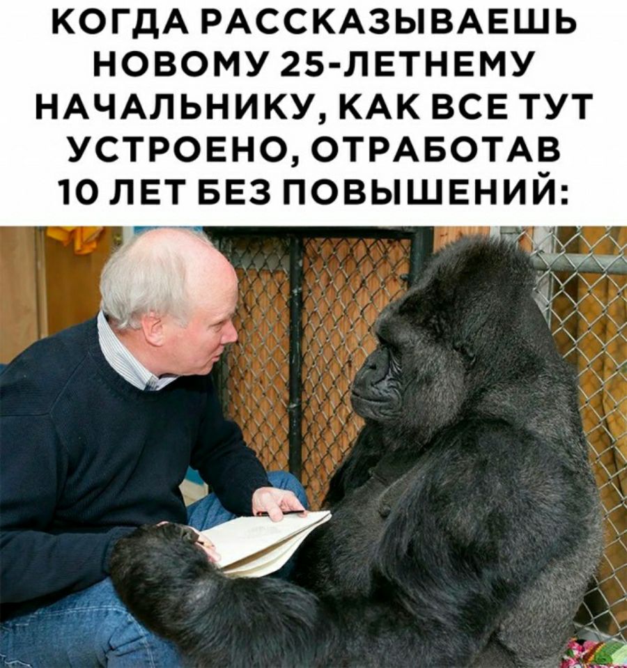 КОГДА рдсскюывмгшь новому 25 летнему НАЧАЛЬНИКУ КАК все тут устроено ОТРАБОТАВ то лет БЕЗ повышений