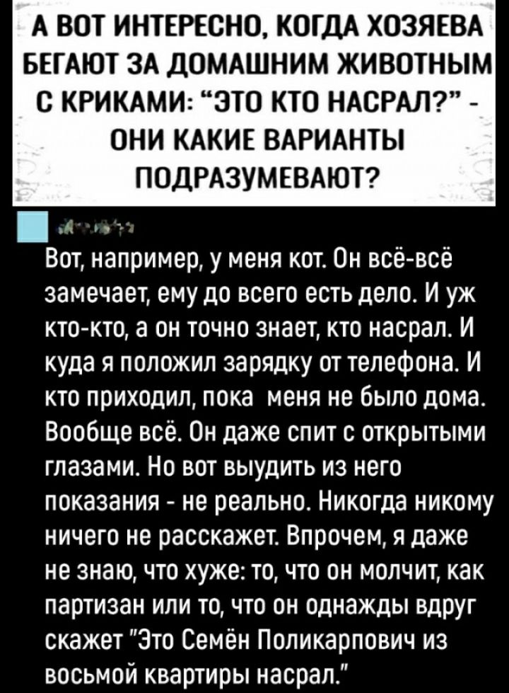 А ВОТ ИНТЕРЕСНО КОГДА ХОЗЯЕВА БЕГАЮТ ЗА дОМАШНИМ ЖИВОТНЫМ В КРИКАМИ ЭТО КТП НАВРАЛ ОНИ КАКИЕ ВАРИАНТЫ ПОДРАЗУМЕВАЮТ Вот например у меня кот Он осевое замечает ему до всего есть дело И уж кто кто а он точно знает кто насрало И куда я положил зарядку от телефона И кто приходил пока меня не было дома Вообще все Он даже спит с открытыми глазами Но вот выудить из него показания не реально Никогда ником