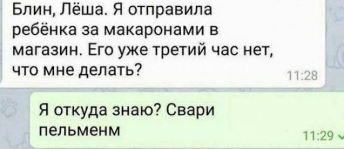 Блин Лёша Я отправила ребёнка за макаронами в магазин Его уже третий час нет что мне делать Я откуда знаю Свари пепьменм 29 _