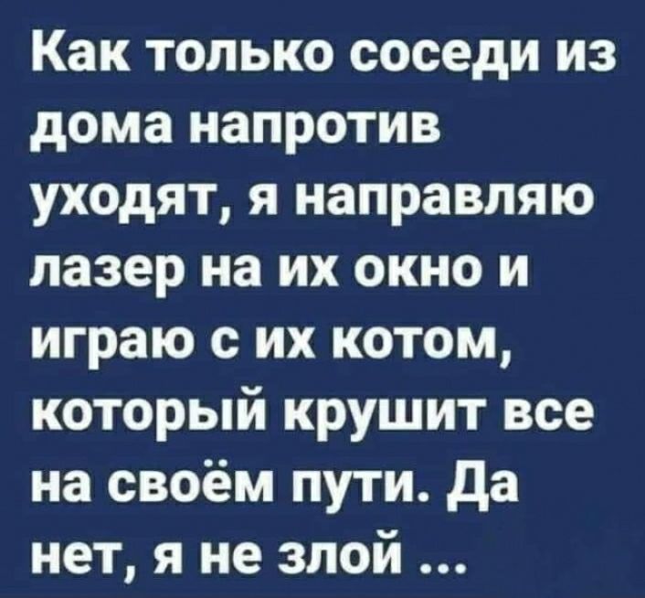 Как только соседи из дома напротив уходят я направпяю лазер на их окно и играю с их котом который крушит все на своём пути да нет я не злой