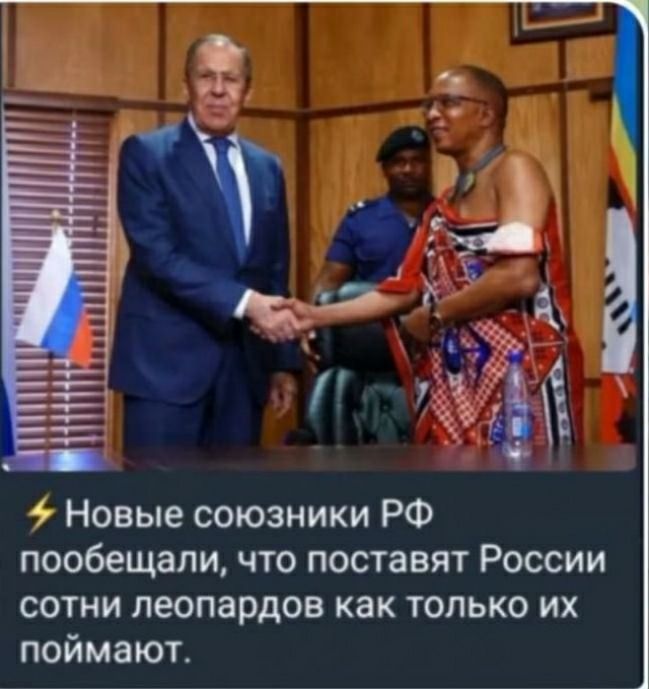 Новые союзники РФ пообещали что поставят России сотни леопардов как только их поймают