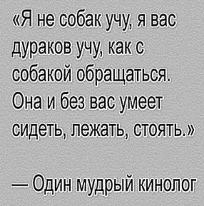 Я не собак учу я вас дураков учу как с собакой обращаться Она и без вас умеет сидеть лежать стоять Один мудрый кинопог