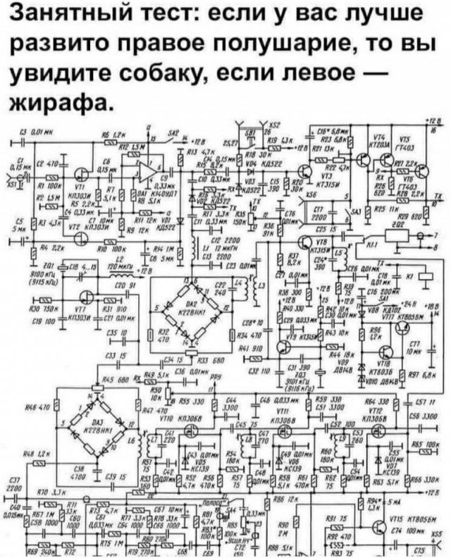 Занятный тест если у вас лучше развито правое полушарие то вы увидите собаку если левое жирафа