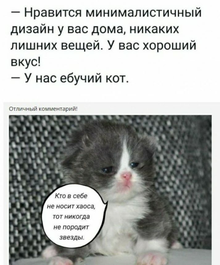 Нравится минималистичный дизайн у вас дома никаких лишних вещей У вас хороший вкус У нас ебучий кот личный мприш Кт в себе не на Хавса юг никогда не поради звезды