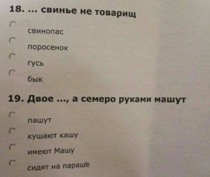 18 свинье не товарищ свииопас поросенок гусь бык 19 двое а семеро руками пашут _ пашут ушат кашу пипл Машу дч ъч на мин