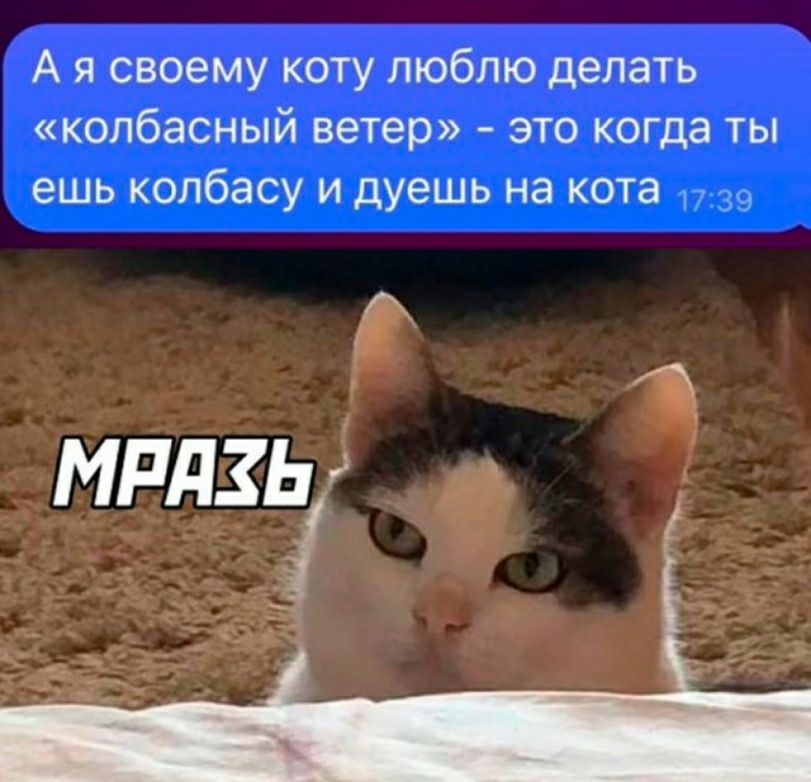 А я своему коту люблю делать копбасный ветер это когда ты ешь колбасу и дуешь на кота 39 МРЛЗЬ 1