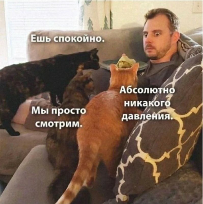 _ Мы просто смотрим