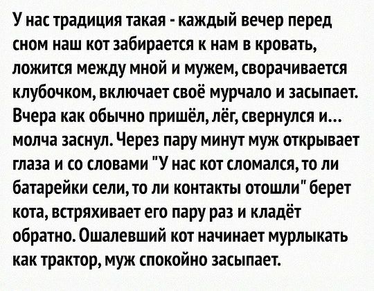 У нас традиция такая каждый вечер перед сном наш кот забирается к нам в кровать ложится между мной и мужем сворачивается кпубочком включает своё мурчало и засыпает Вчера как обычно пришёллёгсвериулся и молча заснул Через пару минут муж открывает глаза и со словами У нас кот сломалсято ли батарейки сели то ли контакты отошли берет кота встряхивает его пару раз и кладёт обратно0шалевший кот начинает