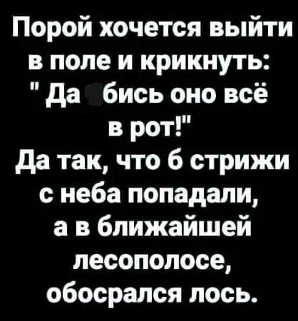 Порой хочется выйти в поле и крикнуть да бись оно всё в рот да так что 6 стрижи с неба попадали а в ближайшей песополосе обосрался лось