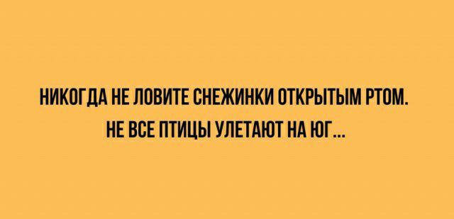 ИИКПГМ ИЕ ЛЕВИТЕ СНЕЖИНКИ ПТКРЬПЫМ ППМ ИЕ НЕЕ ПТИЦЫ УЛЕТАШТ НА ЮГ