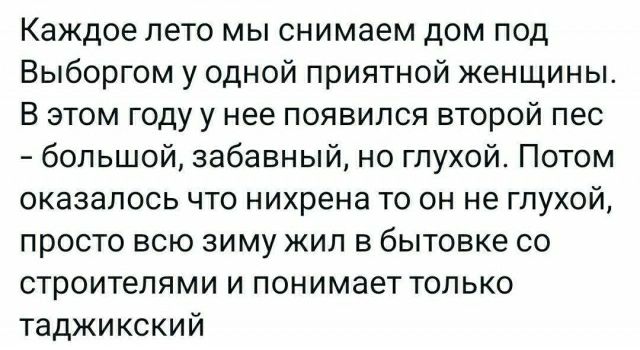 Каждое лето мы снимаем дом под Выборгом у одной приятной женщины В этом году у нее появился второй пес большой забавный но глухой Потом оказалось что нихрена то он не глухой просто всю зиму жил в бытовке со строителями и понимает только таджикский