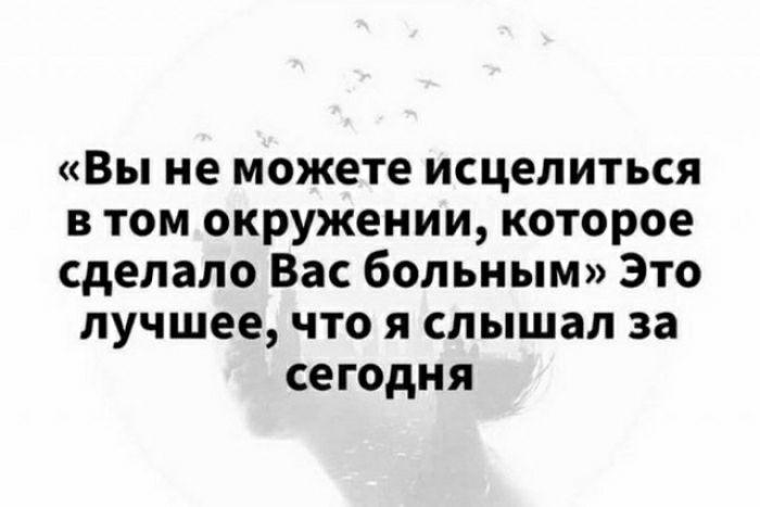 Вы не можете исцелиться в том окружении которое сделало Вас больным Это лучшее что я слышал за сегодня