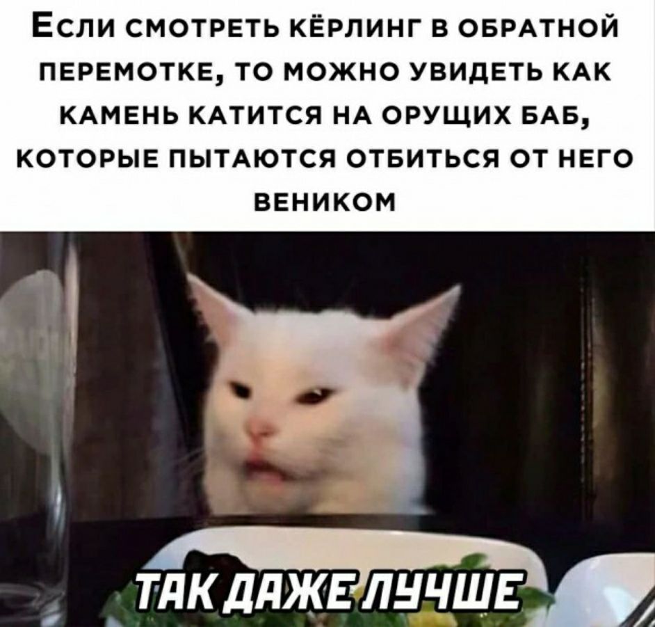 ЕСЛИ СМОТРЕТЬ КЁРПИНГ В ОБРАТНОЙ ПЕРЕМОТКЕ ТО МОЖНО УВИДЕТЬ КАК КАМЕНЬ КАТИТСЯ НА ОРУЩИХ БАБ КОТОРЫЕ ПЫТАЮТСЯ ОТБИТЬСЯ ОТ НЕГО ВЕНИКОМ _ тдкдджвлнчшв