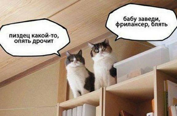 бабуэа и Фрилансер пить пиздец какой то опть промт