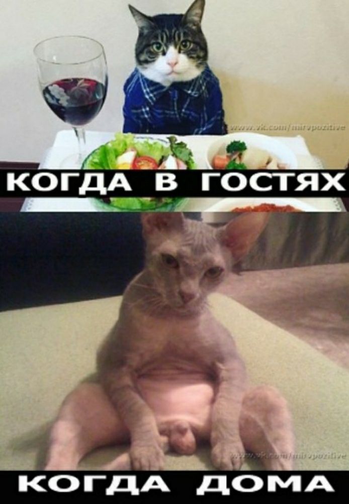 КОГде В ГОСТЯХ