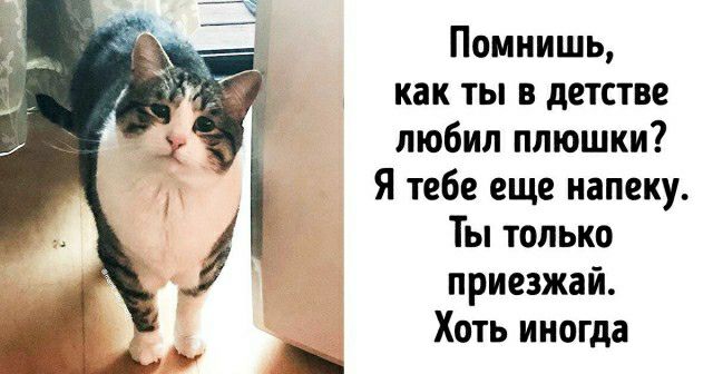 Помнишь как ты в детстве любил плюшки Я тебе еще иапеку Ты только приезжай Хоть ииогда