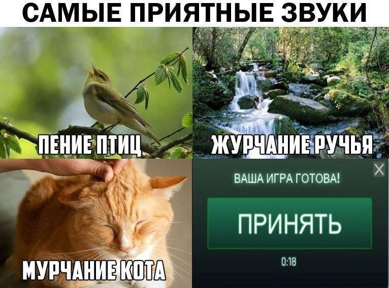САМЫЕ ПРИЯТНЫЕ ЗВУИ _ пвнивптиш Ажушщйіітййё ВАША ИГРА готовы Х ПРИНЯТЬ ППВ мурчднйЁ юпш _