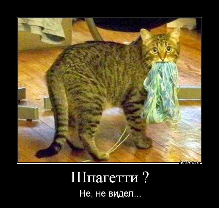 Шпагетги Не не видел