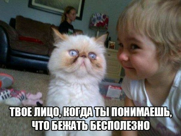 ПЮЕ ИПЦПЩПДТЫ ПЫШМАЕШЁ чтоЕШШПъвюпопгзно