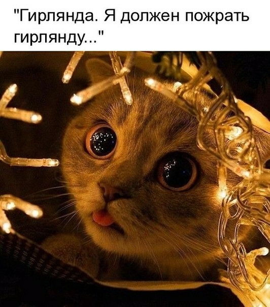 Гирлянда Я должен пожрать гирпянду