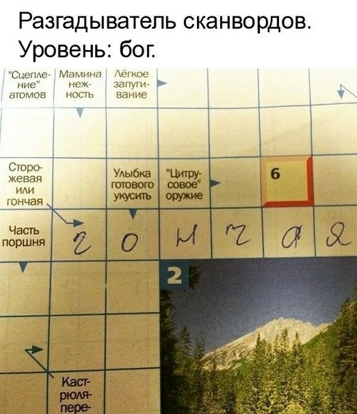 Разгадыватепь сканвордов Уровень бог Сиама Мдцима с у нок атоИов ности Сюрд жевая уончаи поршня