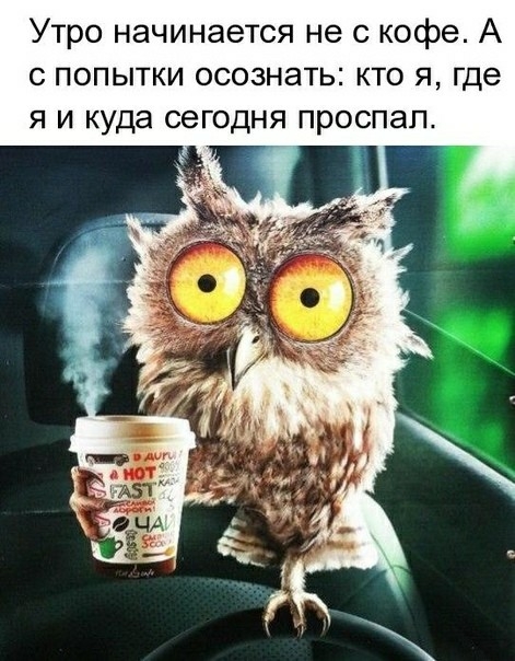 Утро начинается не с кофе А попытки осознать кто я где я и куда сегодня проспал