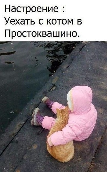 Насгроение Уехать с котом в Просгоквашино