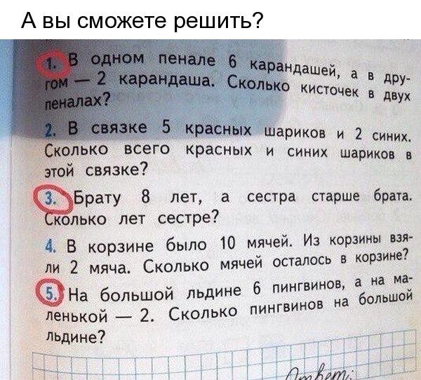 А вы сможете решить да в при кисточек в двух __ аРИКов и 2 синих слыш всего красных и синих шариков в Этой связке Брату 8 лет а сестра старше брата олько лет сестре 1 В корзине было 10 мячей Из корзины ні И 2 мяча Сколько мячей осталось в корзин ма На большой льдине 6 пингвина 36 летакой _ 2 Скопько пингвинов льдине